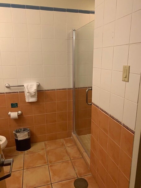 Aquarius Vacation Club at Dorado del Mar - Image 61