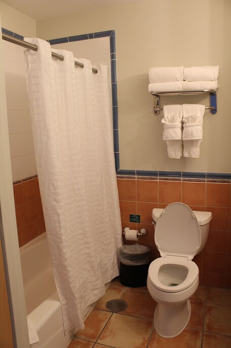 Aquarius Vacation Club at Dorado del Mar - Image 60
