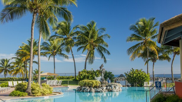 A swimming pool surrounded by palm trees and a rock feature. - Aquarius Vacation Club at Dorado del Mar (Dorado)