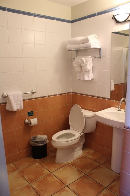 Aquarius Vacation Club at Dorado del Mar - Image 59