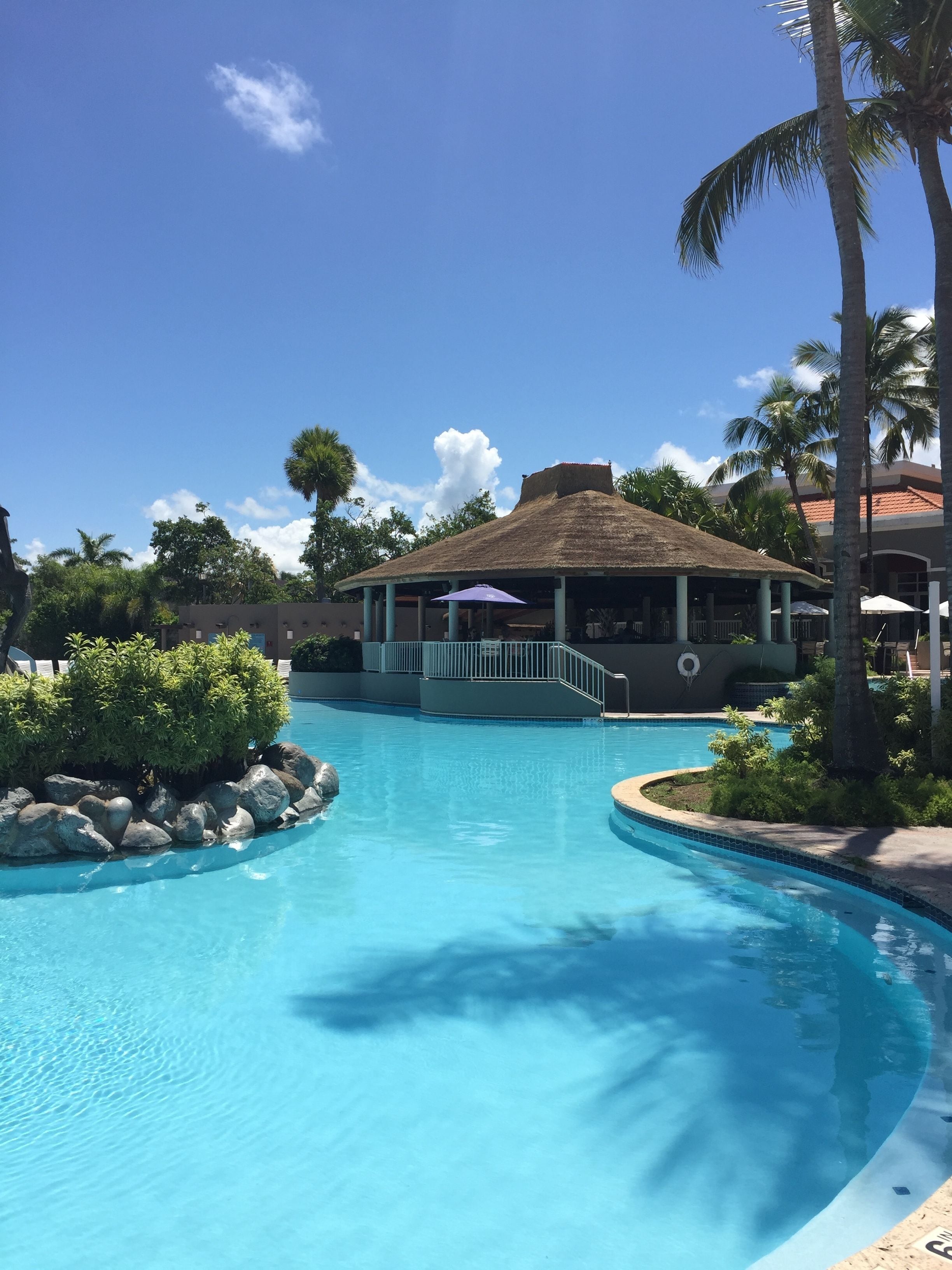 A swimming pool with a thatched-roof pavilion, surrounded by palm trees and a clear blue sky.