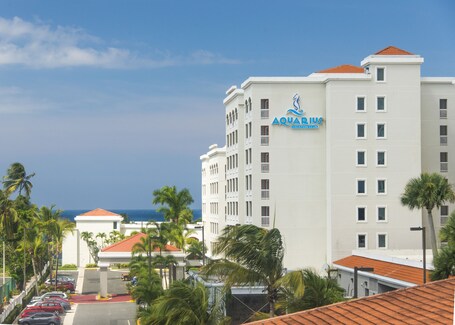 Aquarius Vacation Club at Dorado del Mar - Image 2