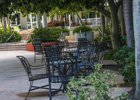 Aquarius Vacation Club at Dorado del Mar - Image 50