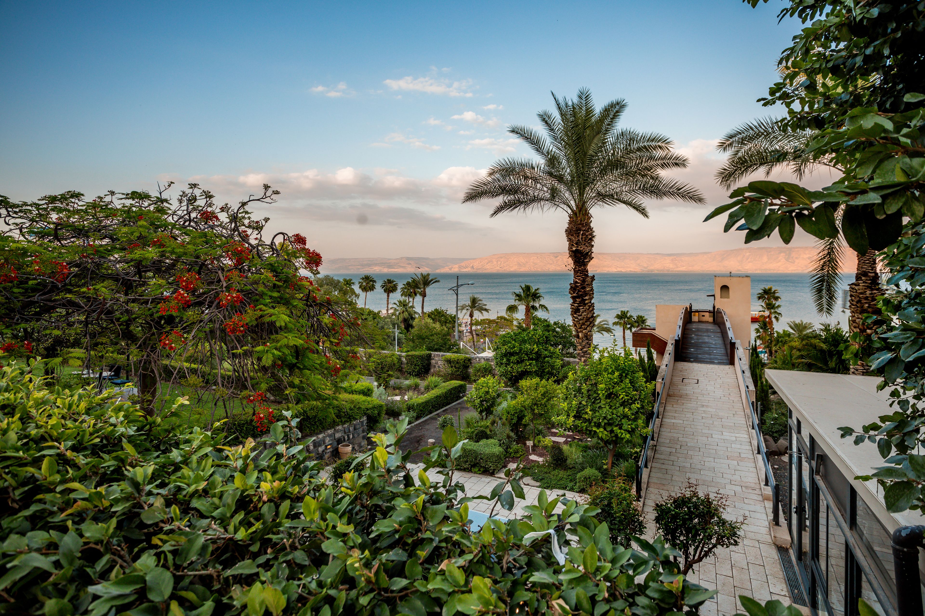 Photo - The Scots Hotel