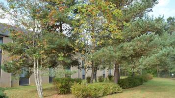 Khuôn viên nơi lưu trú