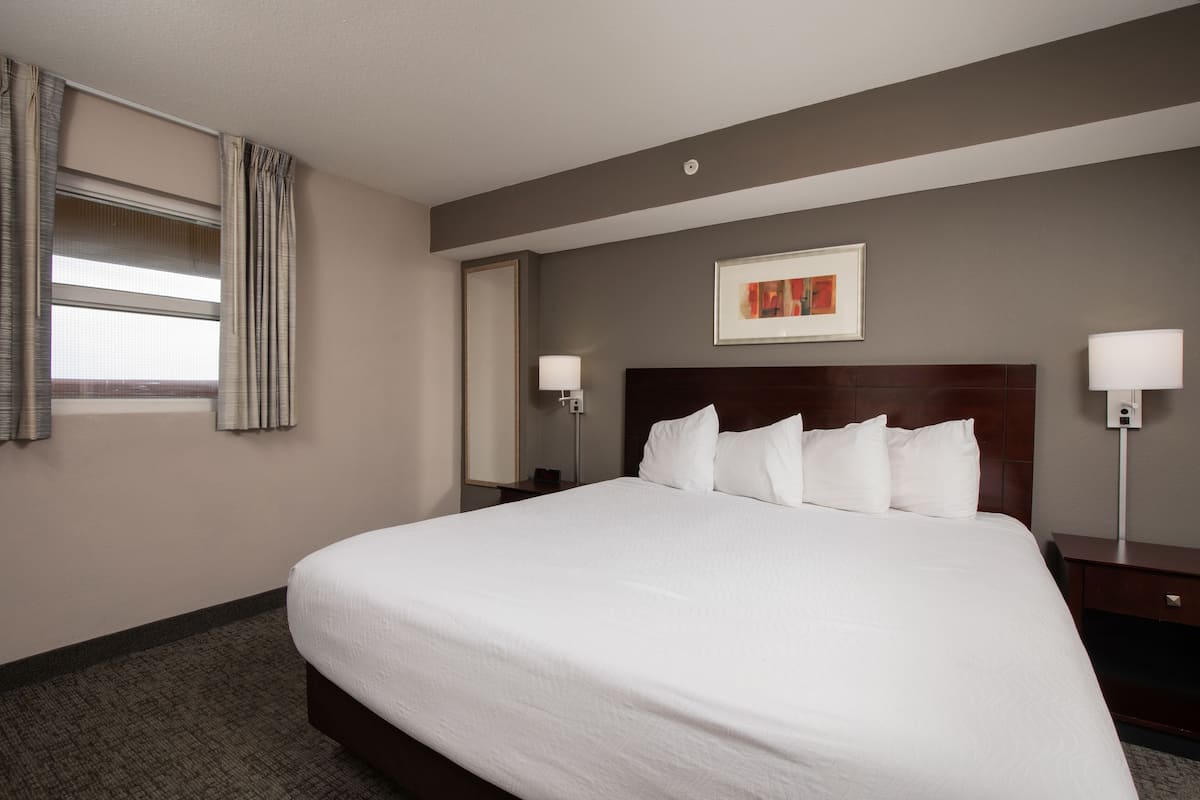 A hotel room with a large bed, a nightstand, a lamp, a window with curtains, and a framed picture on the wall.