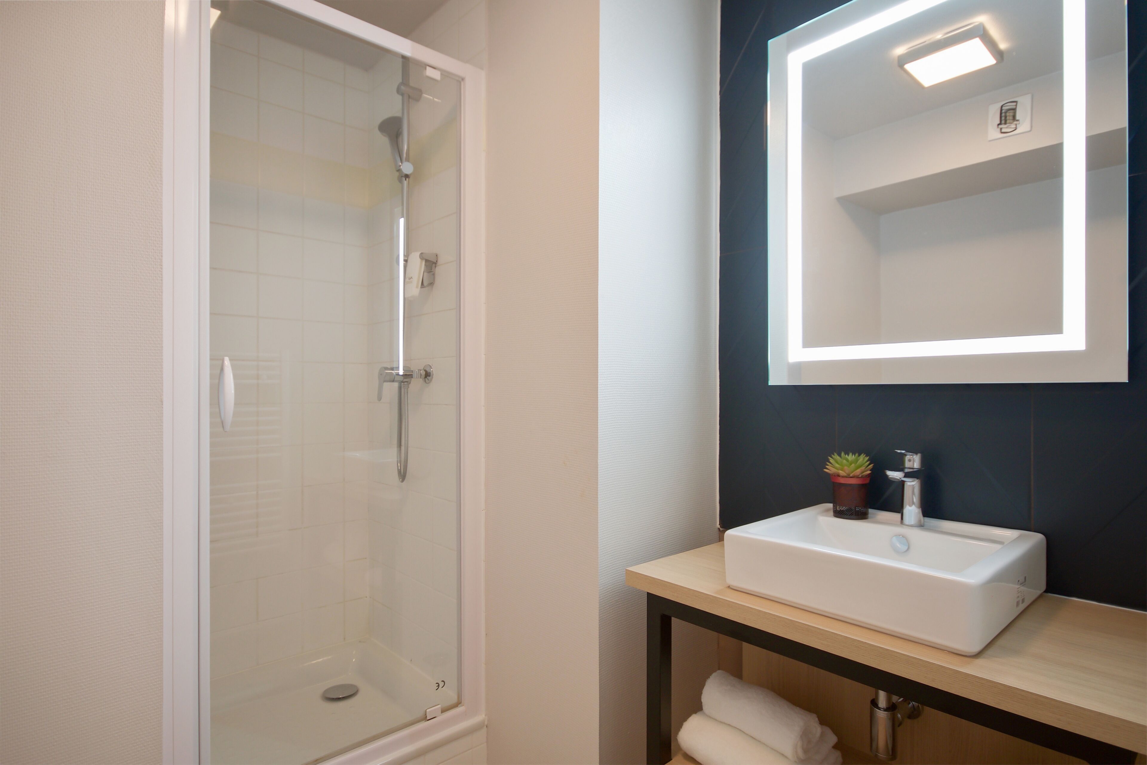 A modern bathroom with a glass-enclosed shower, a white sink with a mirror above it, and a small potted plant on the sink.
