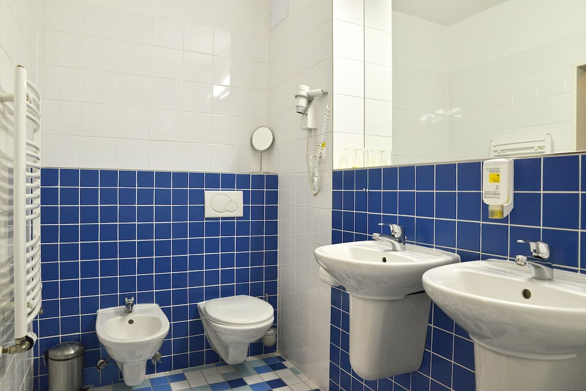 Bathroom | Shower, free toiletries, hair dryer, towels
