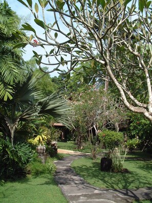 Jardín