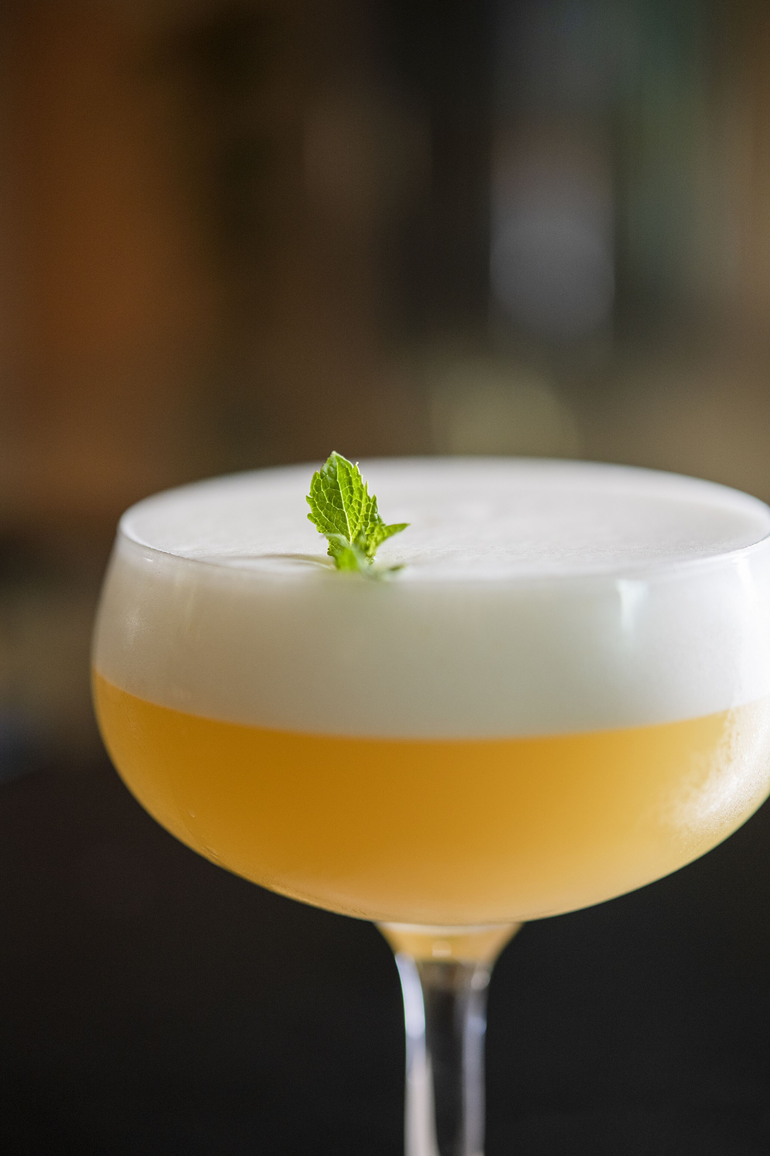 Photo - Stadt Hotel Città