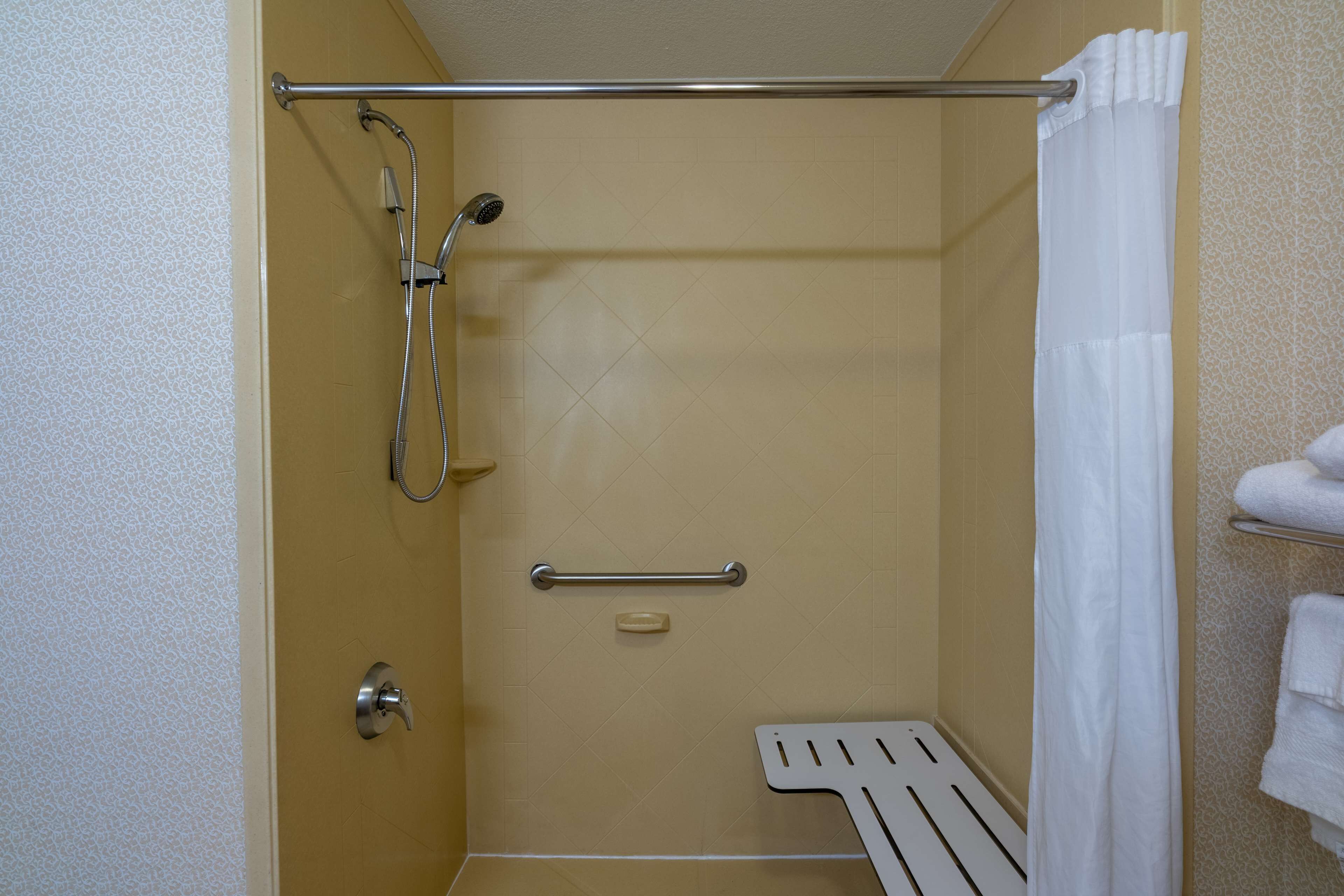 room, 1 king bed, accessible (roll-in shower) | bathroom shower