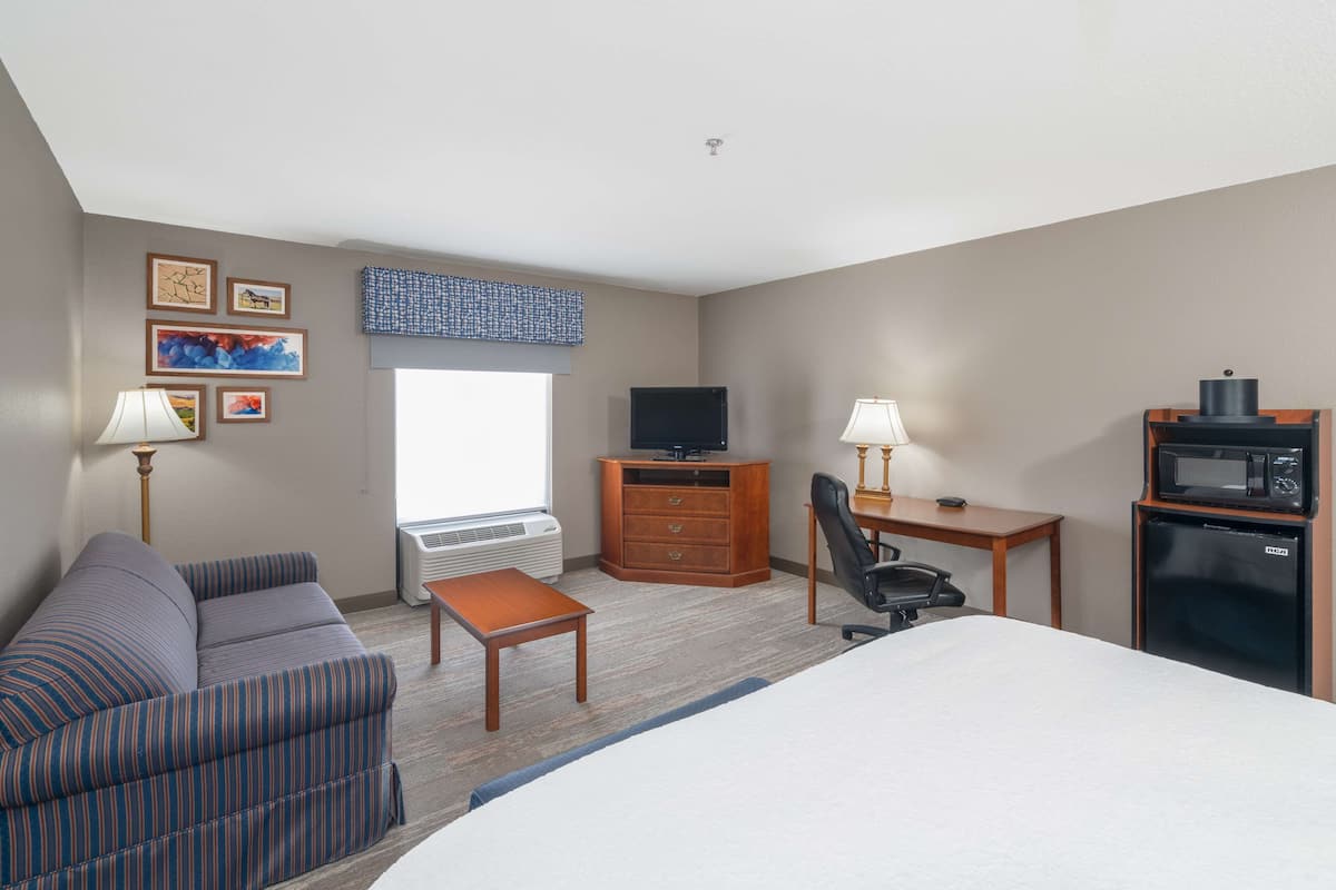 A hotel room with a bed, a sofa, a desk with a computer, a chair, a TV, and a microwave.