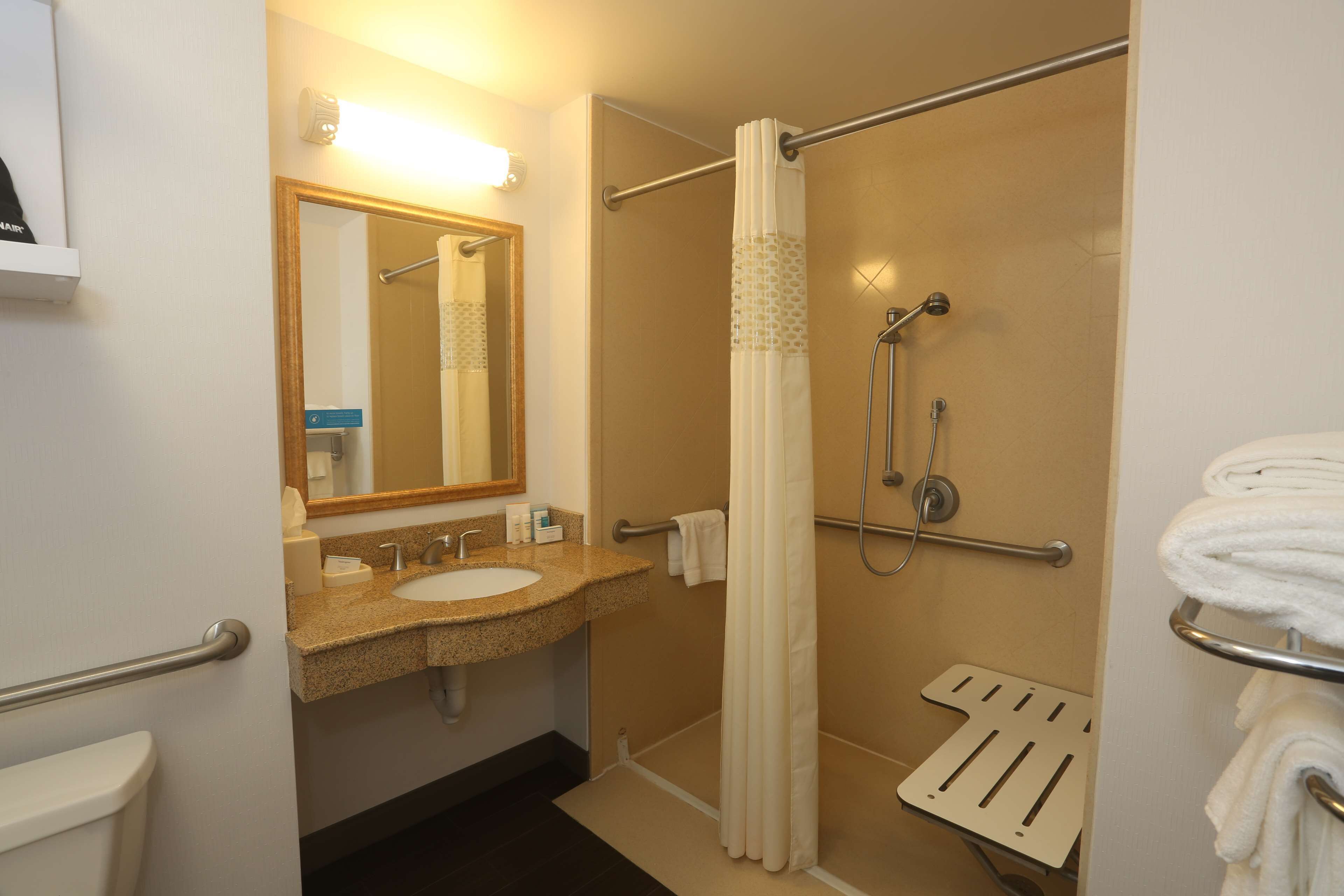 room, 1 king bed, accessible (mobility & hearing, roll-in shower) | bathroom | free toiletries, hair dryer, towels, soap