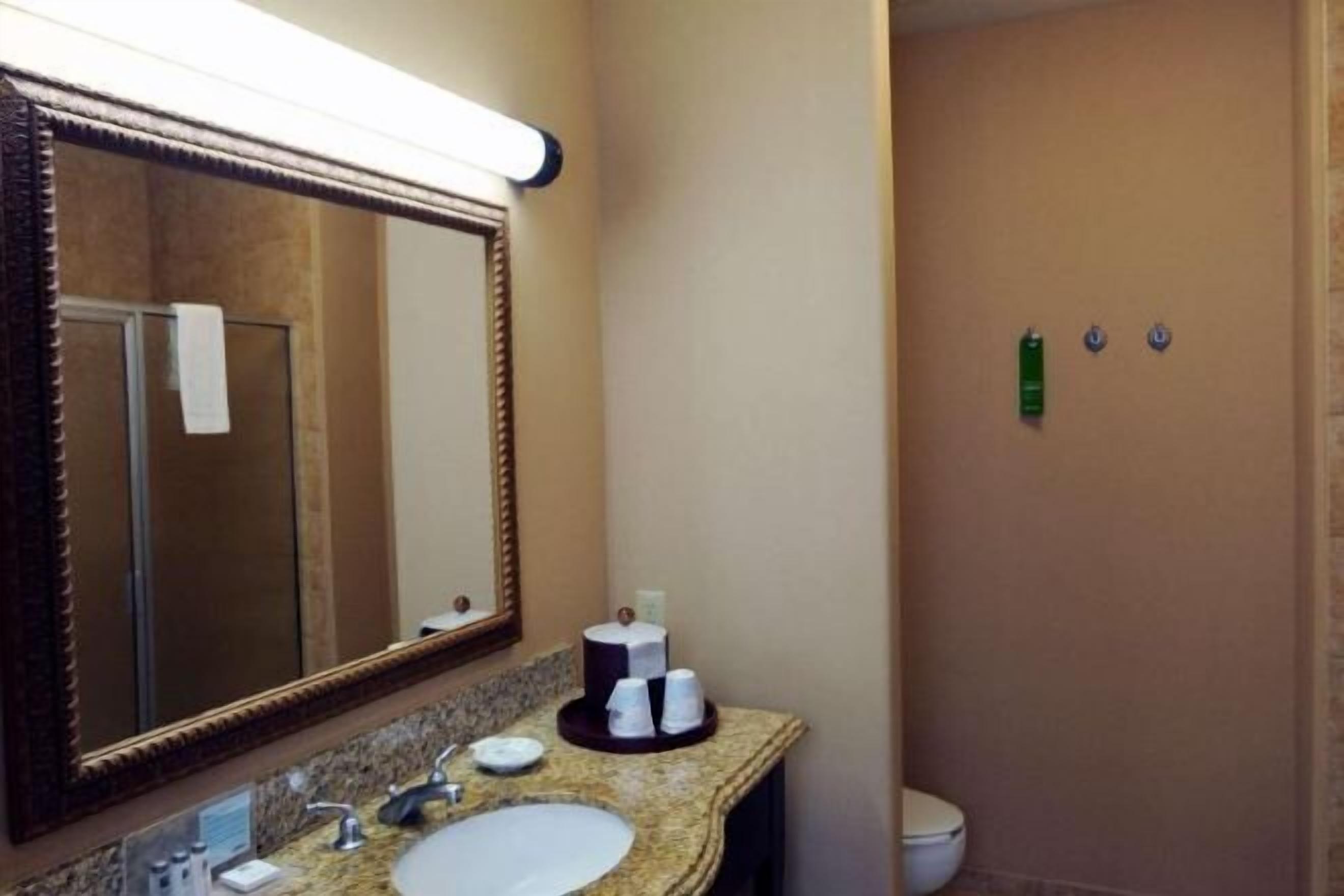 Bathroom | Combined shower/tub, free toiletries, hair dryer, towels
