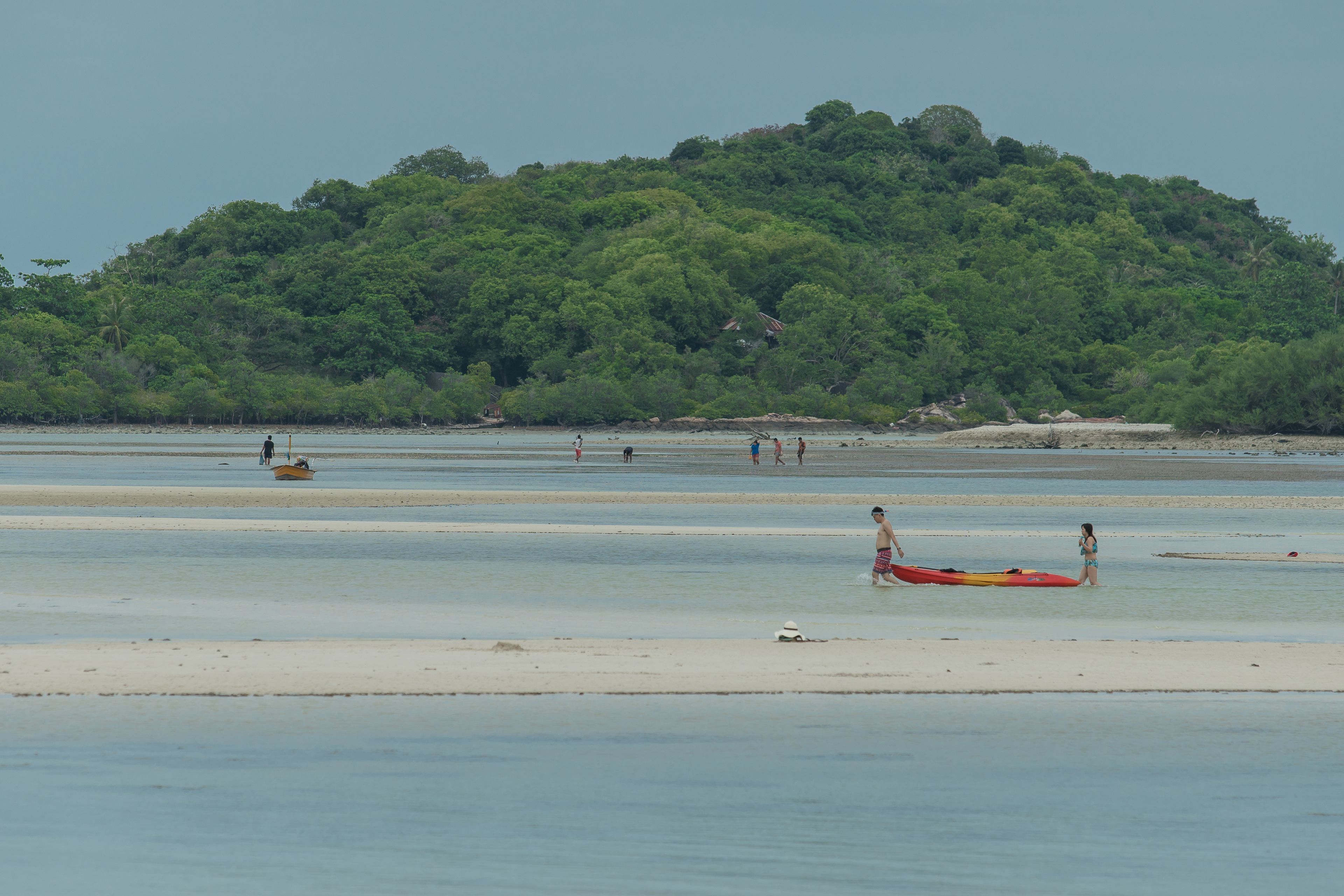 A beach with a forested hill in the background.