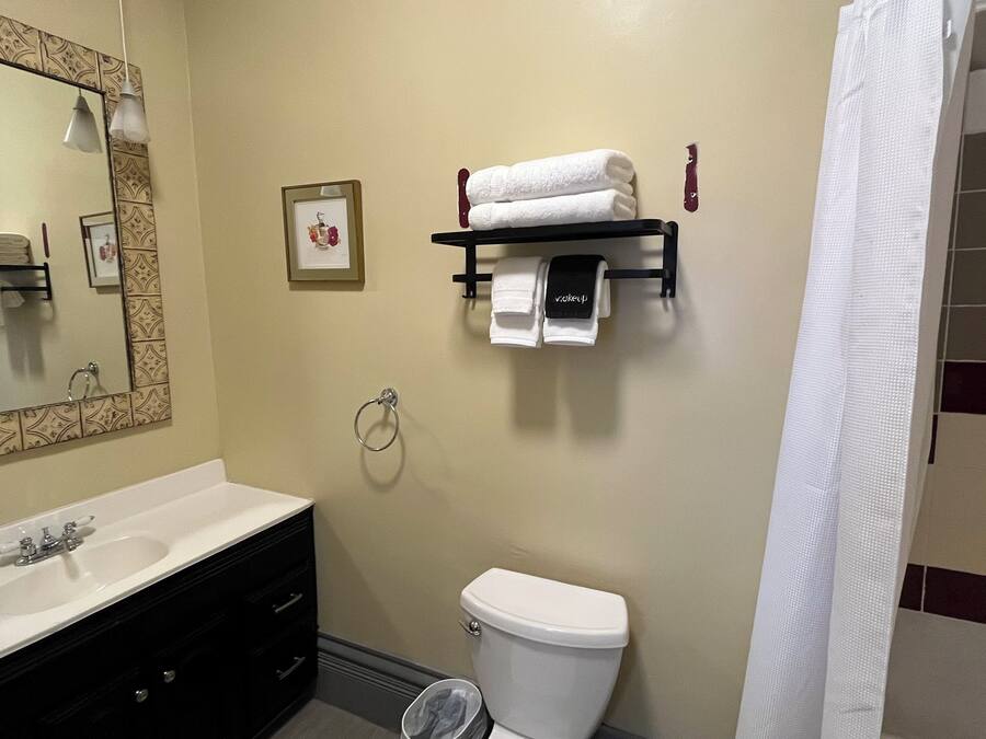 Casa de banho com lavatório branco, toucador preto, sanita, suporte de toalhas com toalhas, um quadro emoldurado e cortina de chuveiro.