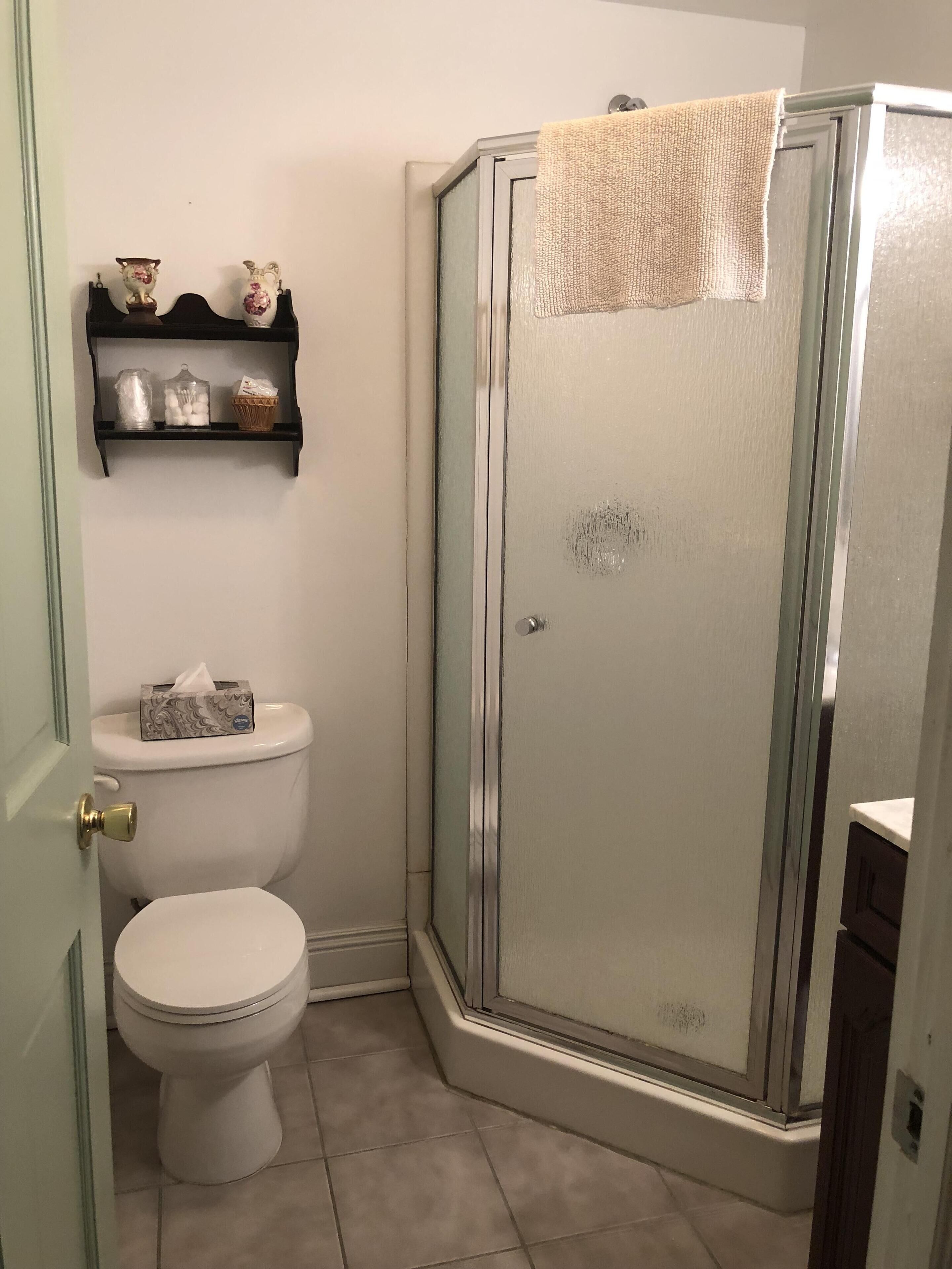 A bathroom with a toilet, a glass shower enclosure, and a shelf with toiletries.