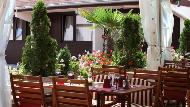 An outdoor dining area with wooden tables and chairs, surrounded by potted plants and flowers. - Au Relais D'Alsace (Rouffach)