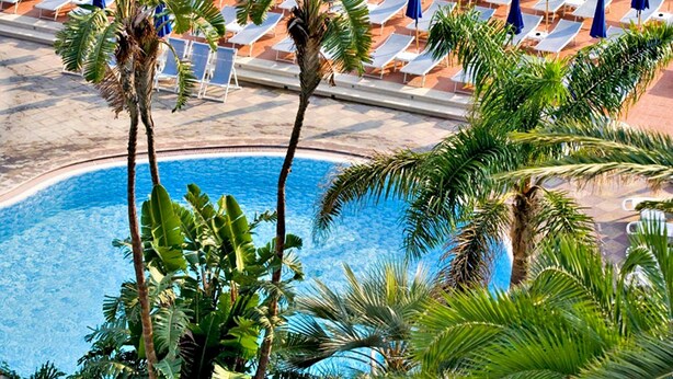 Zona junto a la piscina con sillas de descanso y sombrillas, rodeada de palmeras.