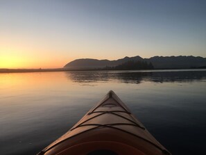 Kayak