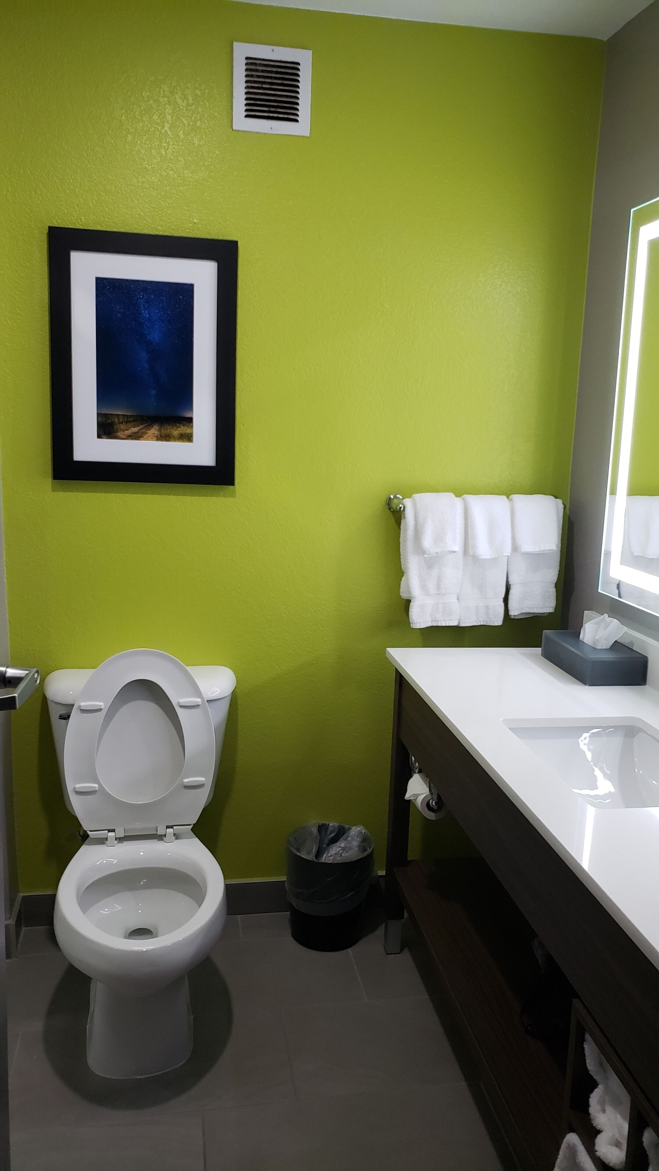 A bathroom with a toilet, a sink, a mirror, a framed picture on the wall, and a trash can.