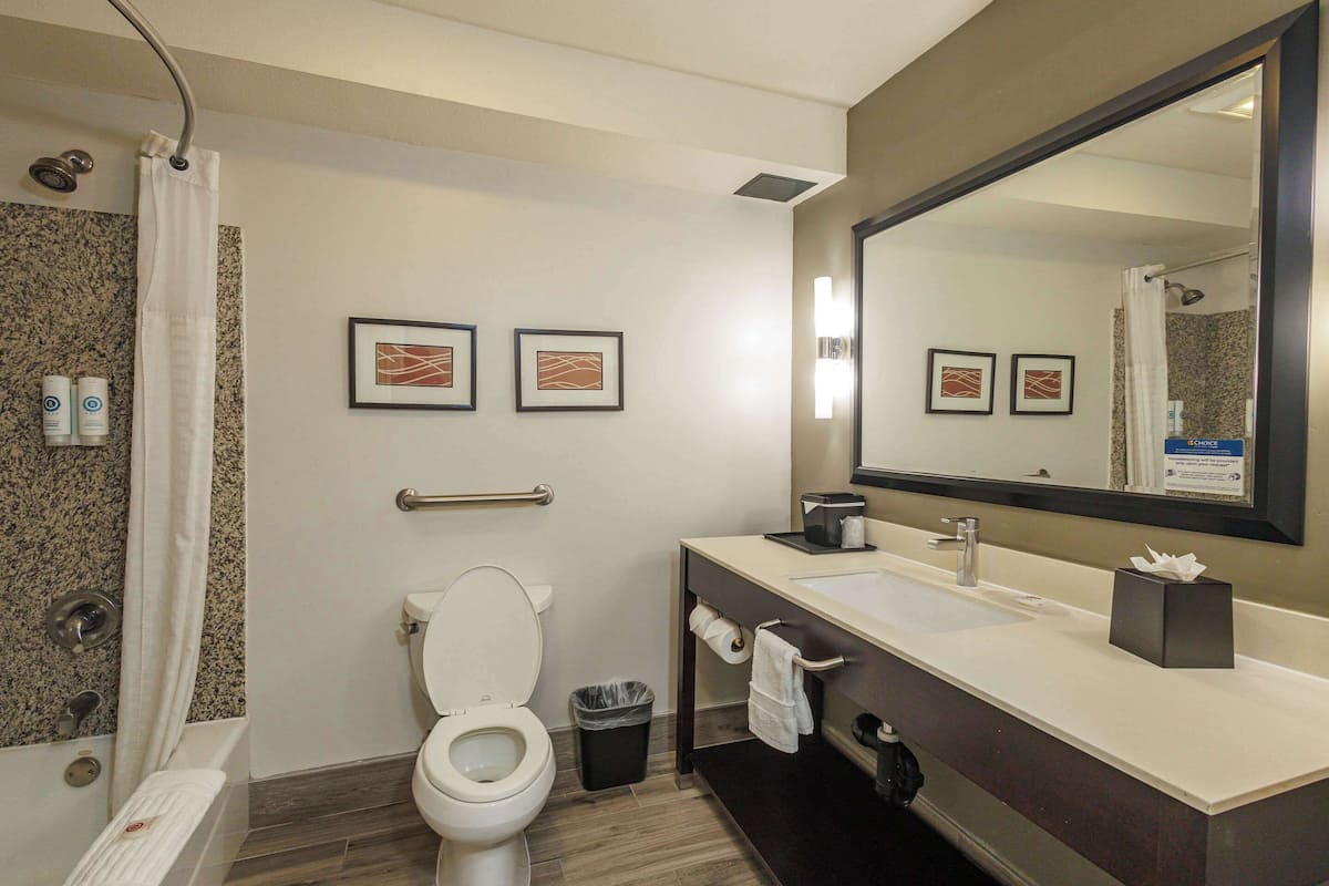 combined shower/bathtub, free toiletries, hair dryer, towels