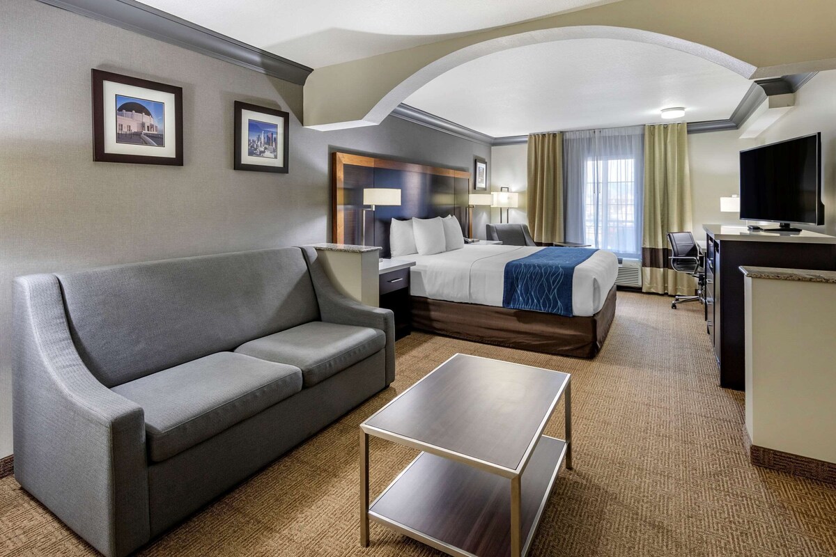 Une chambre d’hôtel avec un canapé, un lit, une télévision, un bureau et deux tableaux encadrés au mur.
