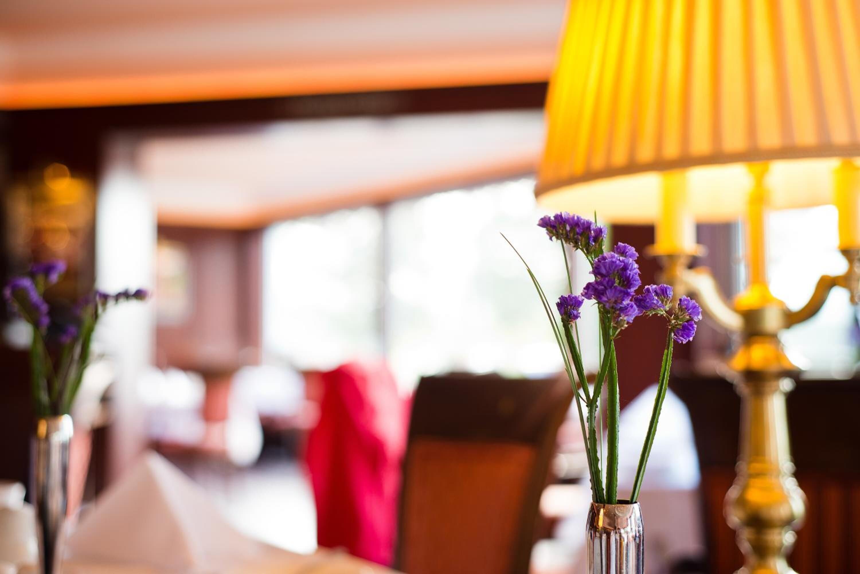 breakfast and dinner served