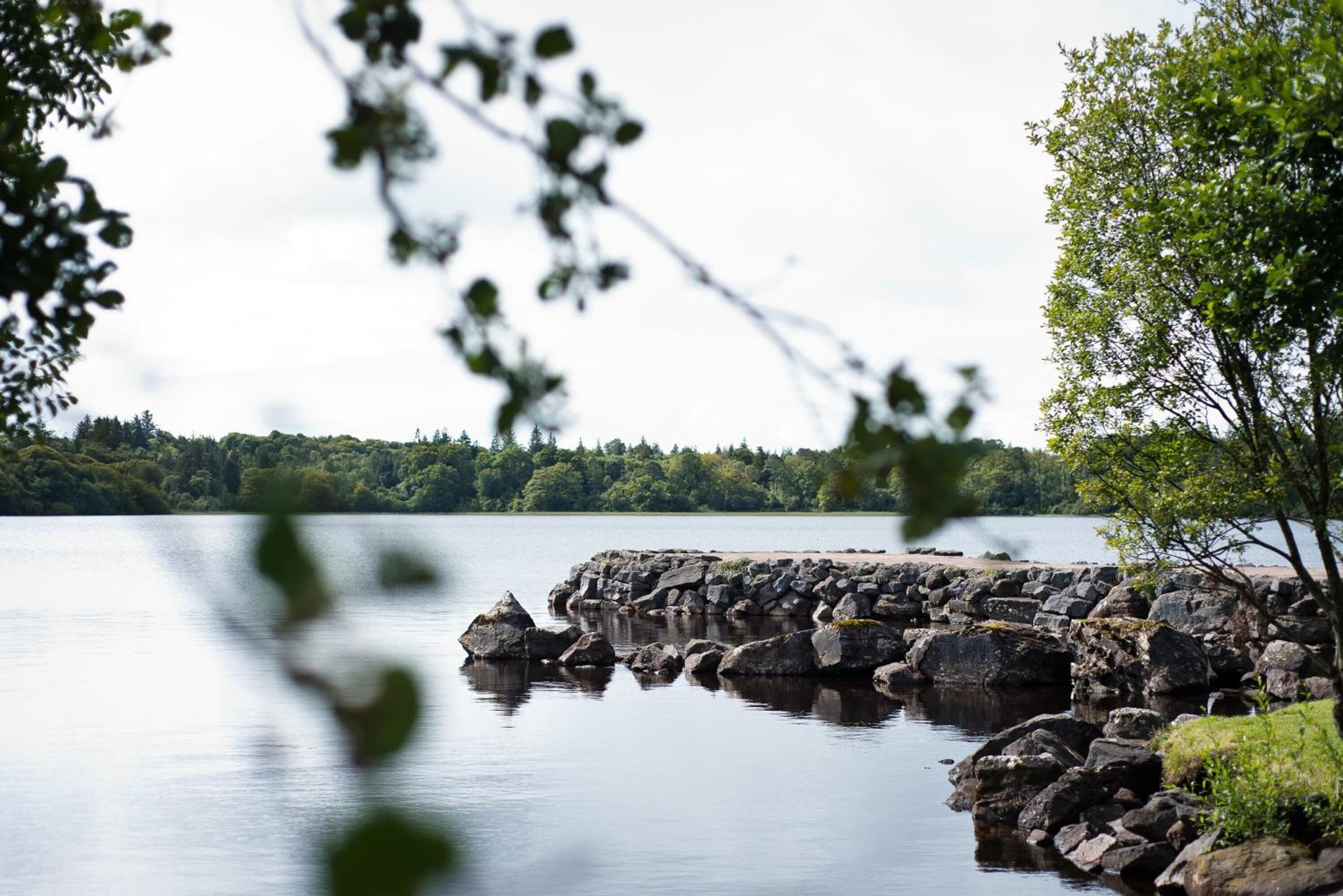 A calm lake with a rocky shoreline and dense greenery in the background.