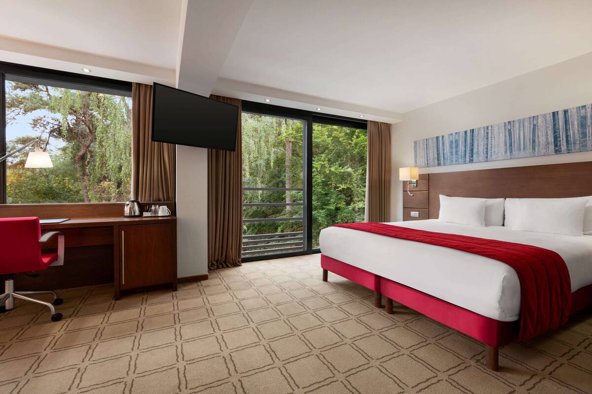 Une chambre d’hôtel avec un grand lit, un bureau avec une chaise, une télévision et une vue sur les arbres par la fenêtre.