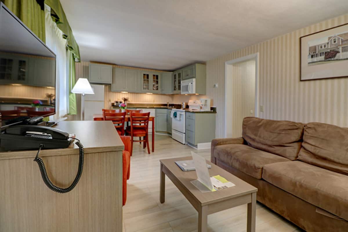 Suite (Lower Level) | Living area | TV