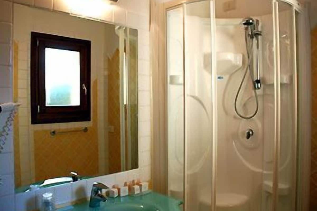 shower, free toiletries, hair dryer, bidet