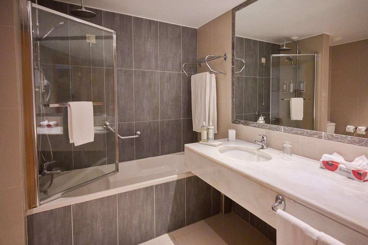 free toiletries, hair dryer, bathrobes, bidet