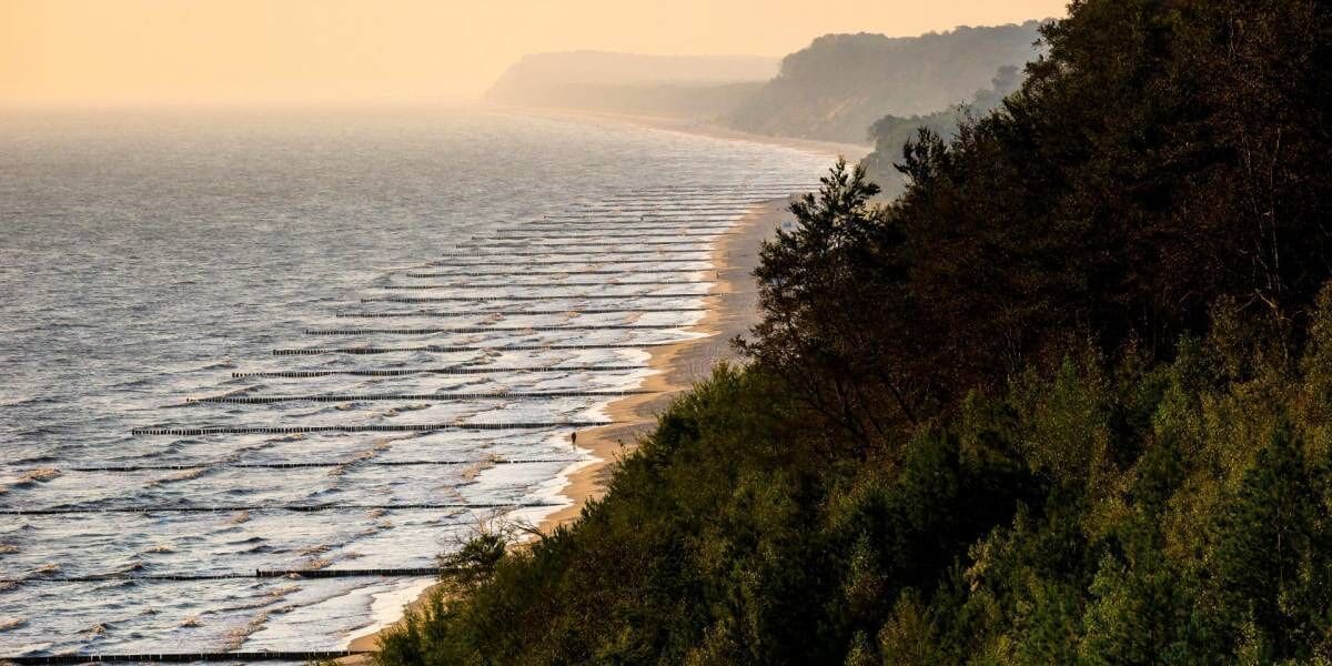 A coastal landscape with a beach and forested area.