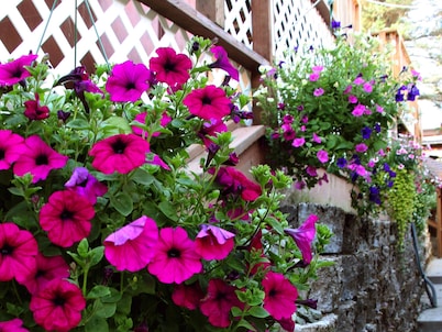 Beachside Villa Suites and Vacation Rentals
