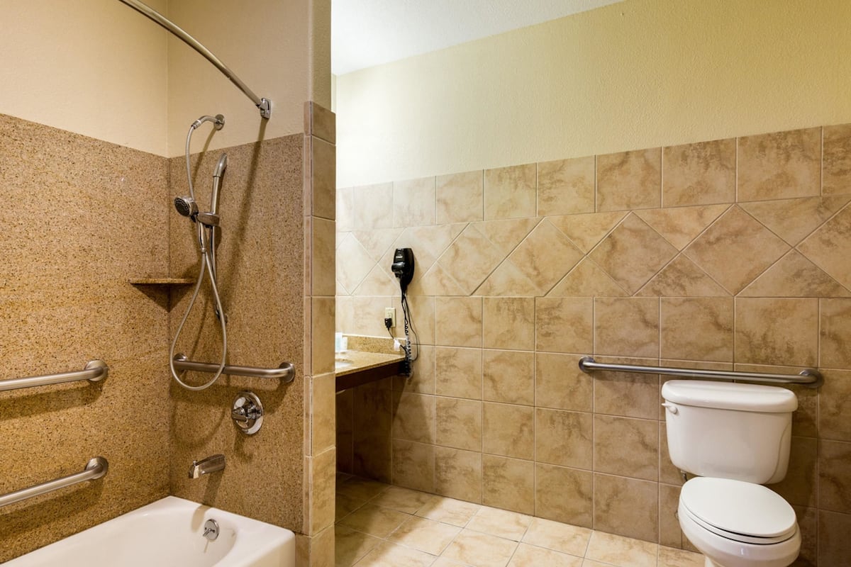 combined shower/bathtub, free toiletries, hair dryer, towels