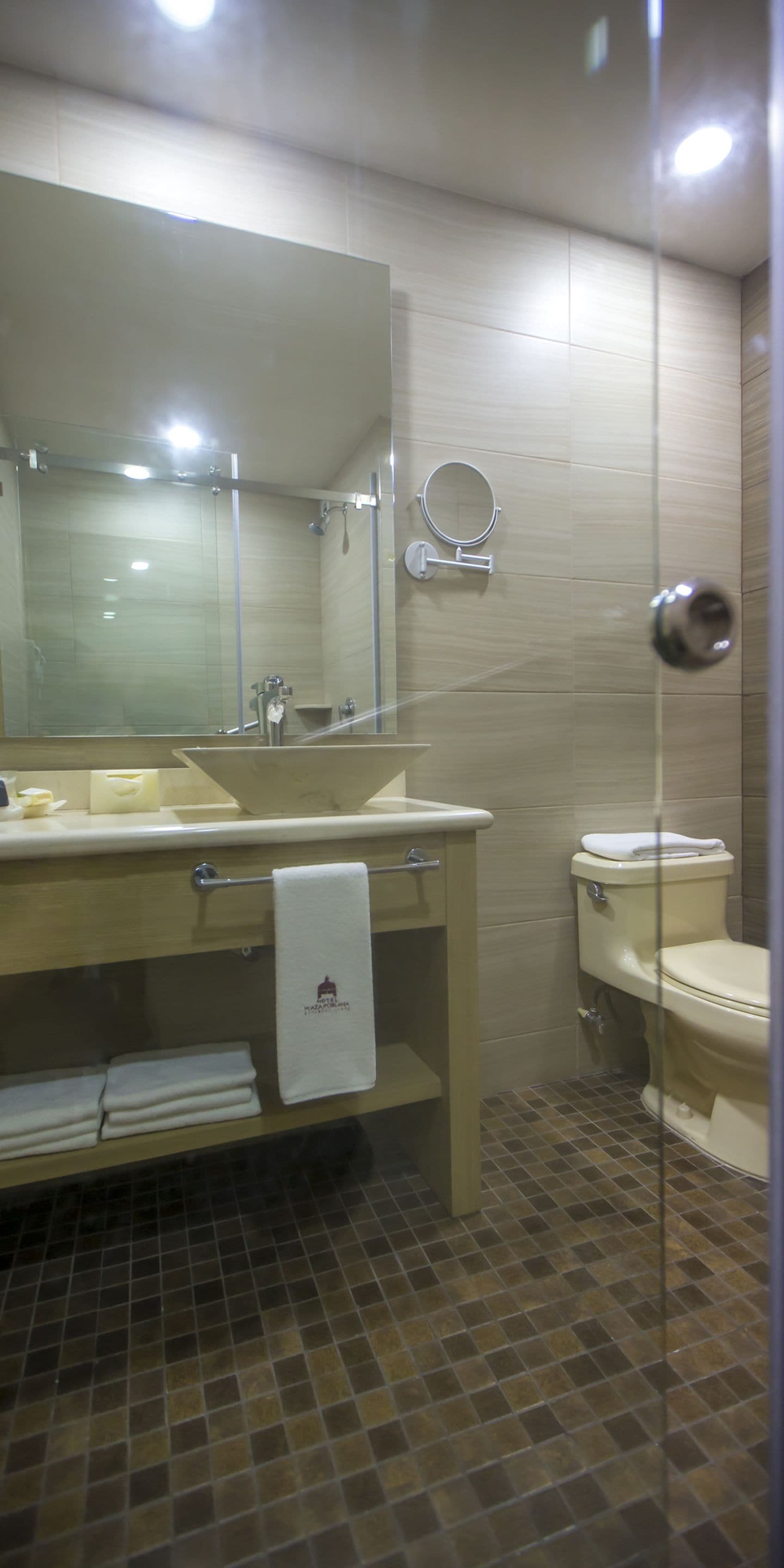 A bathroom with a glass shower enclosure, a sink with a mirror, and a toilet.