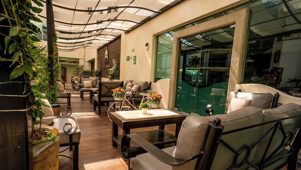 Un área de descanso moderna con sofás de cuero, una mesa de centro de madera y plantas en macetas.