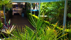 A covered walkway with a wooden floor leading to a building entrance. - Don Quijote Hotel (Búzios)