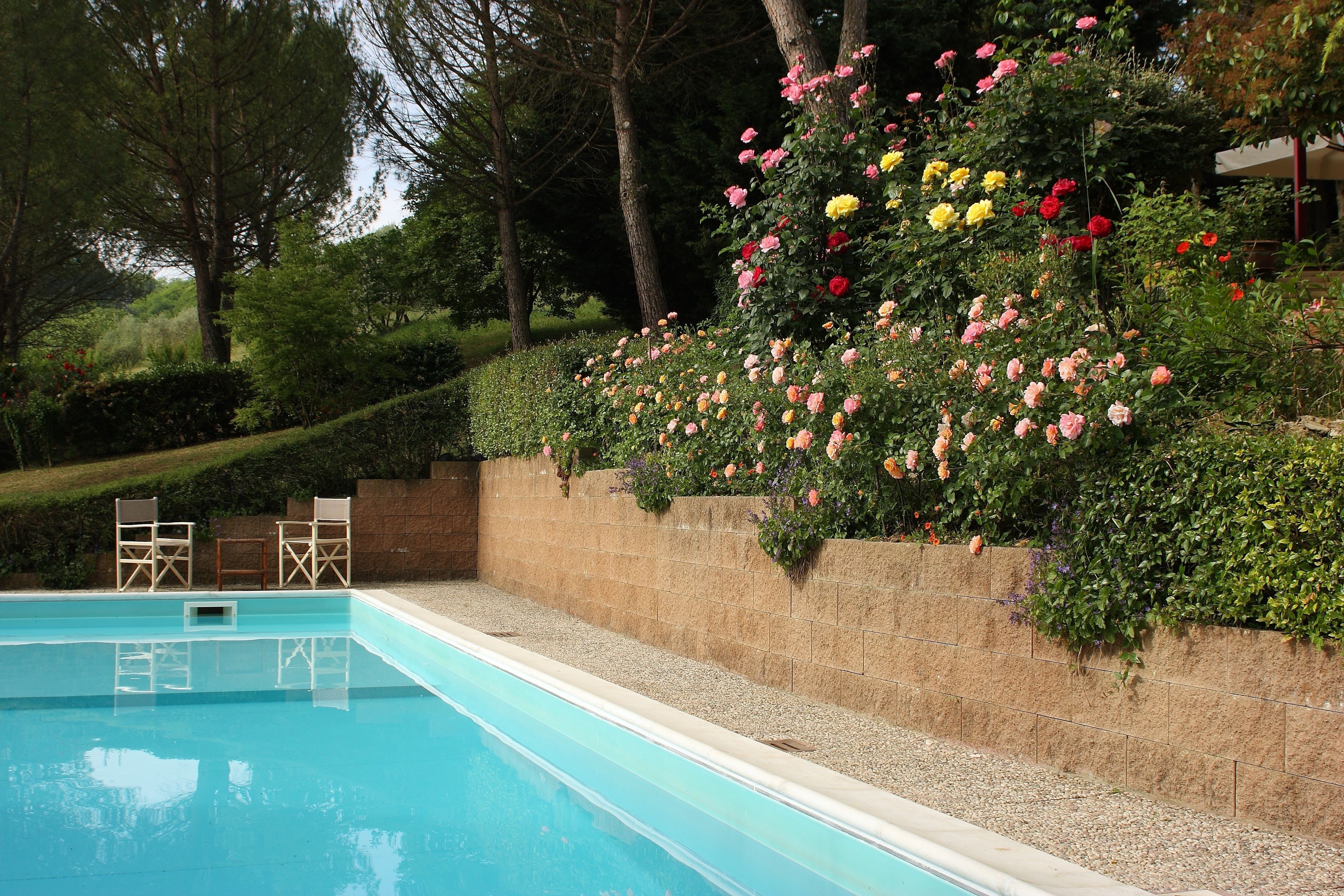 Outdoor pool, open 9:30 AM to 9:30 PM, pool umbrellas, pool loungers