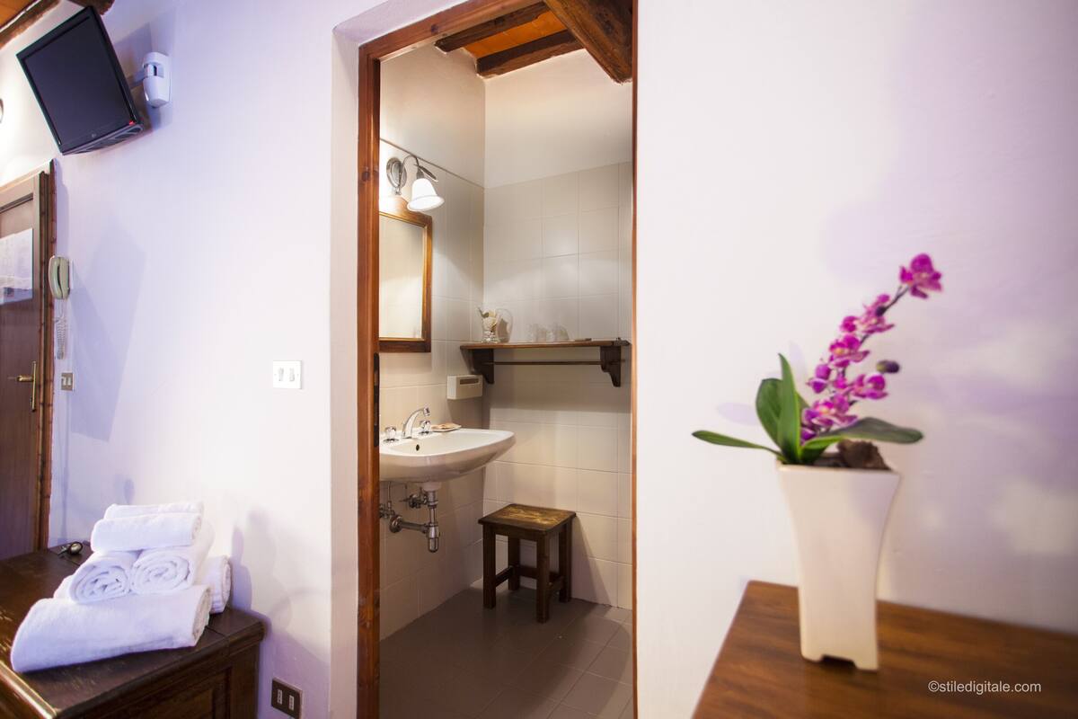 standard double or twin room | bathroom | shower, free toiletries, hair dryer, towels
