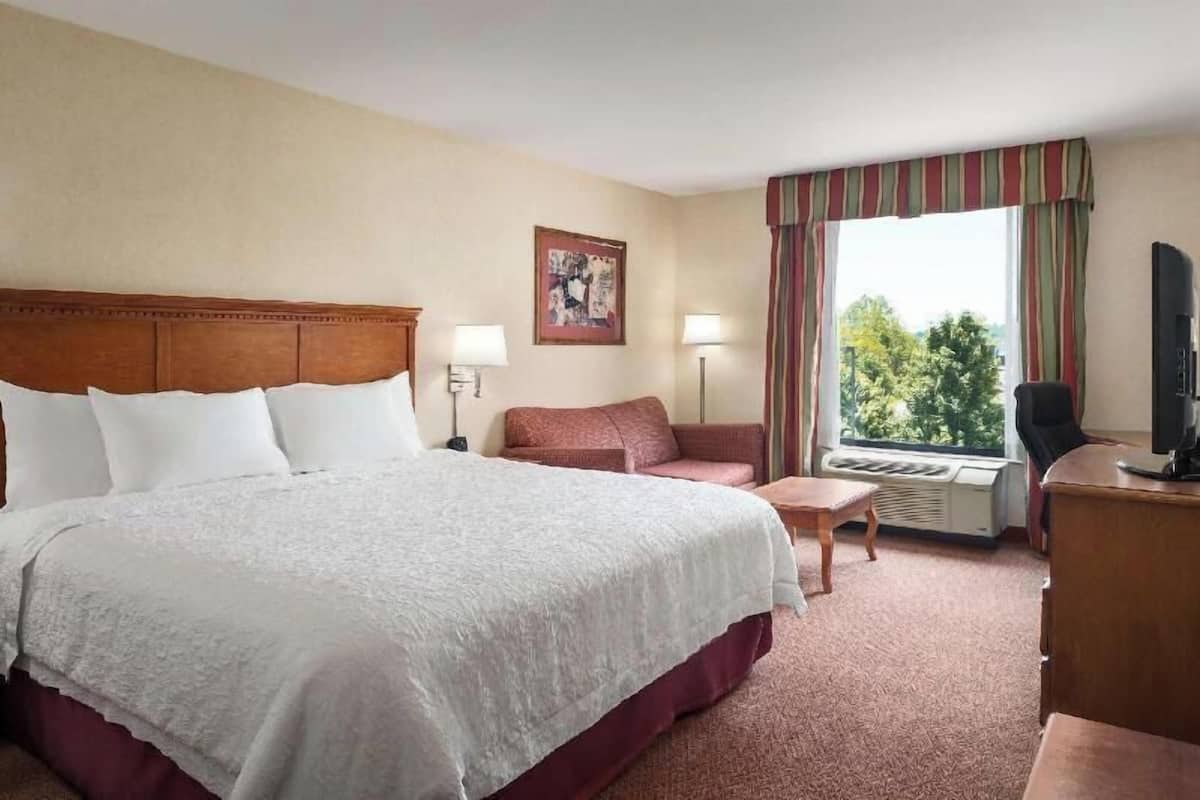 A hotel room with a large bed, a desk, a chair, a sofa, a window with curtains, a heater, and a television.