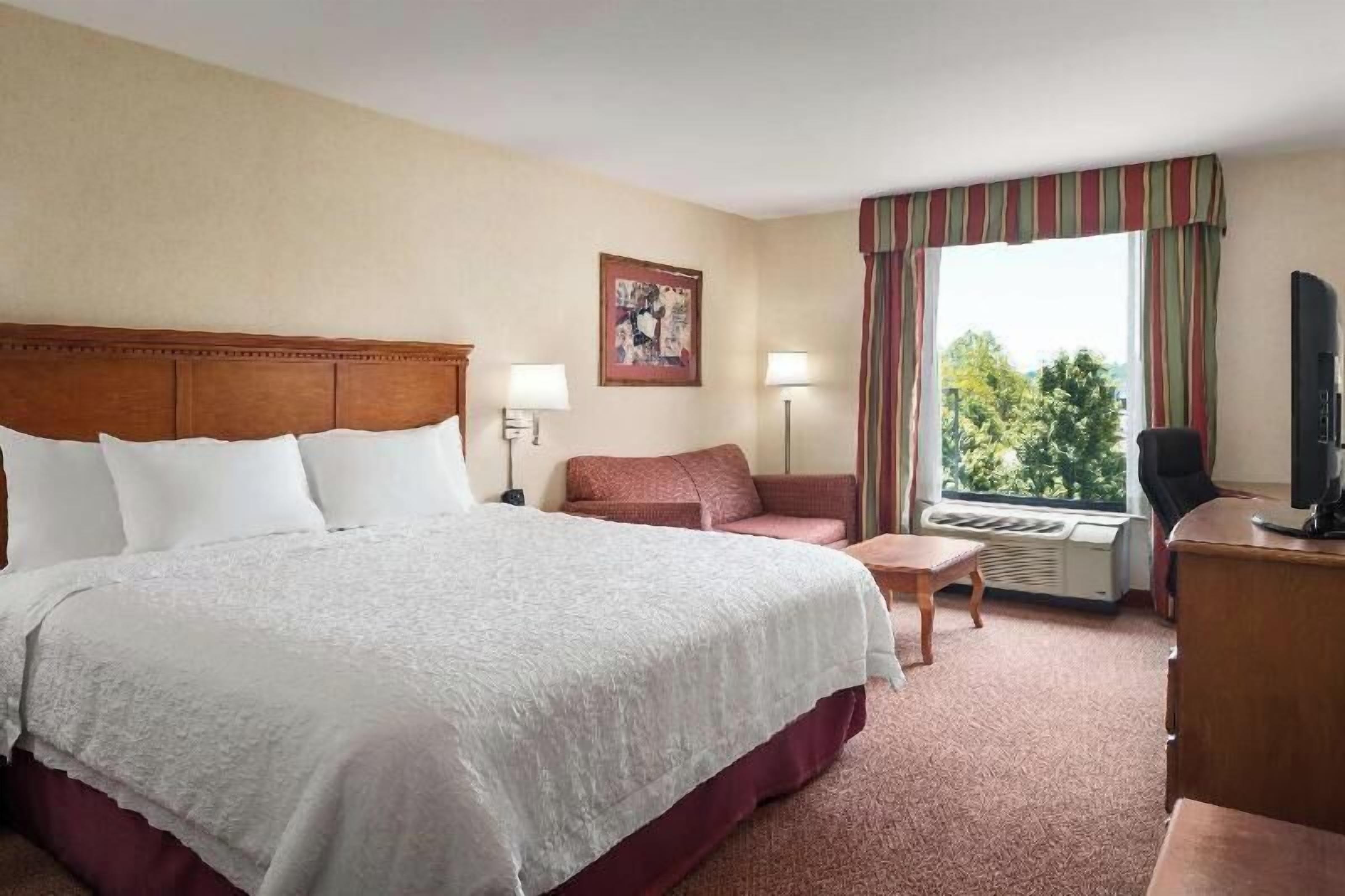 羽绒被、办公桌、熨斗/熨衣板、免费 WiFi