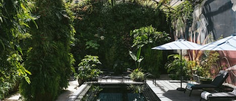 室外游泳池,日光浴躺椅