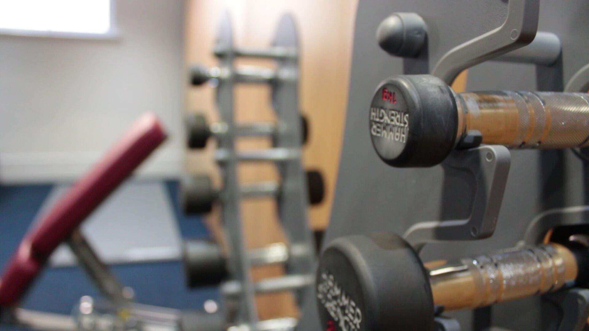 A gym with exercise equipment, including dumbbells and a bench.