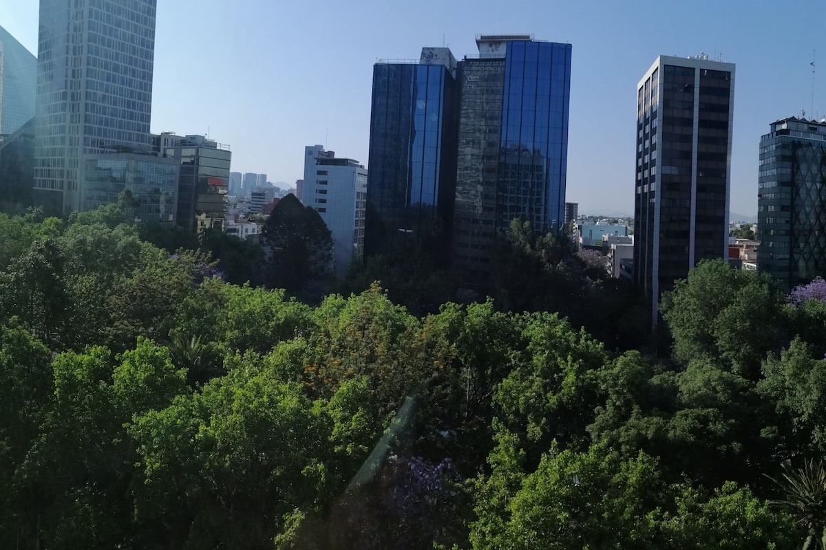 A cityscape with modern high-rise buildings and dense green trees.