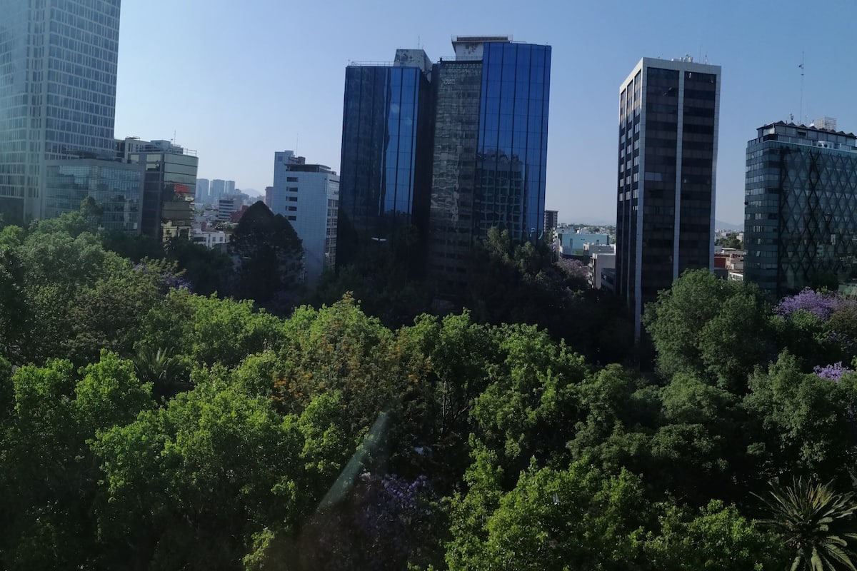 Standard Room, 1 King Bed, City View | 1 bedroom, down comforters, in-room safe, desk