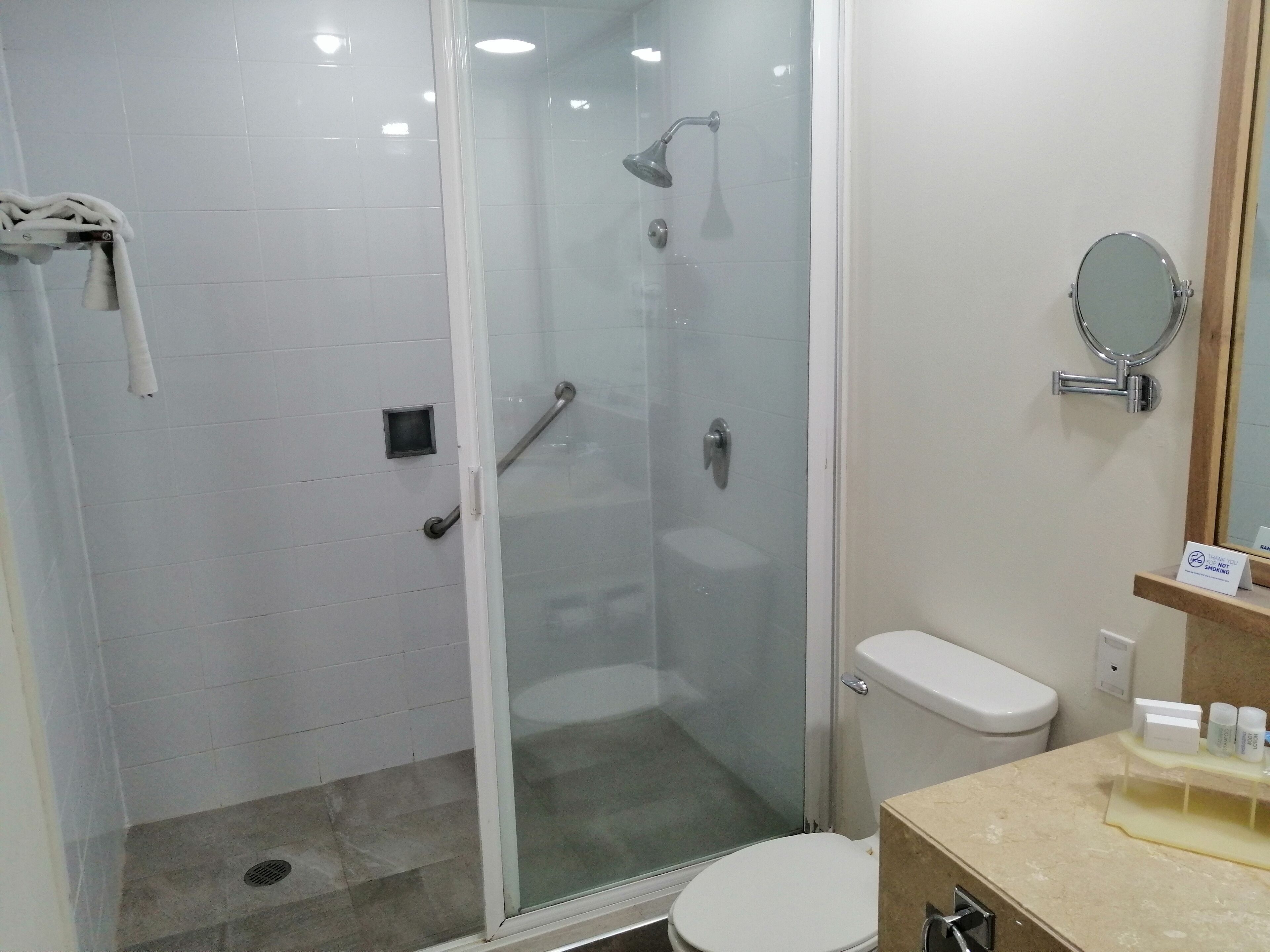 Un bagno con doccia vetrata, un WC e un mobile lavabo con specchio.
