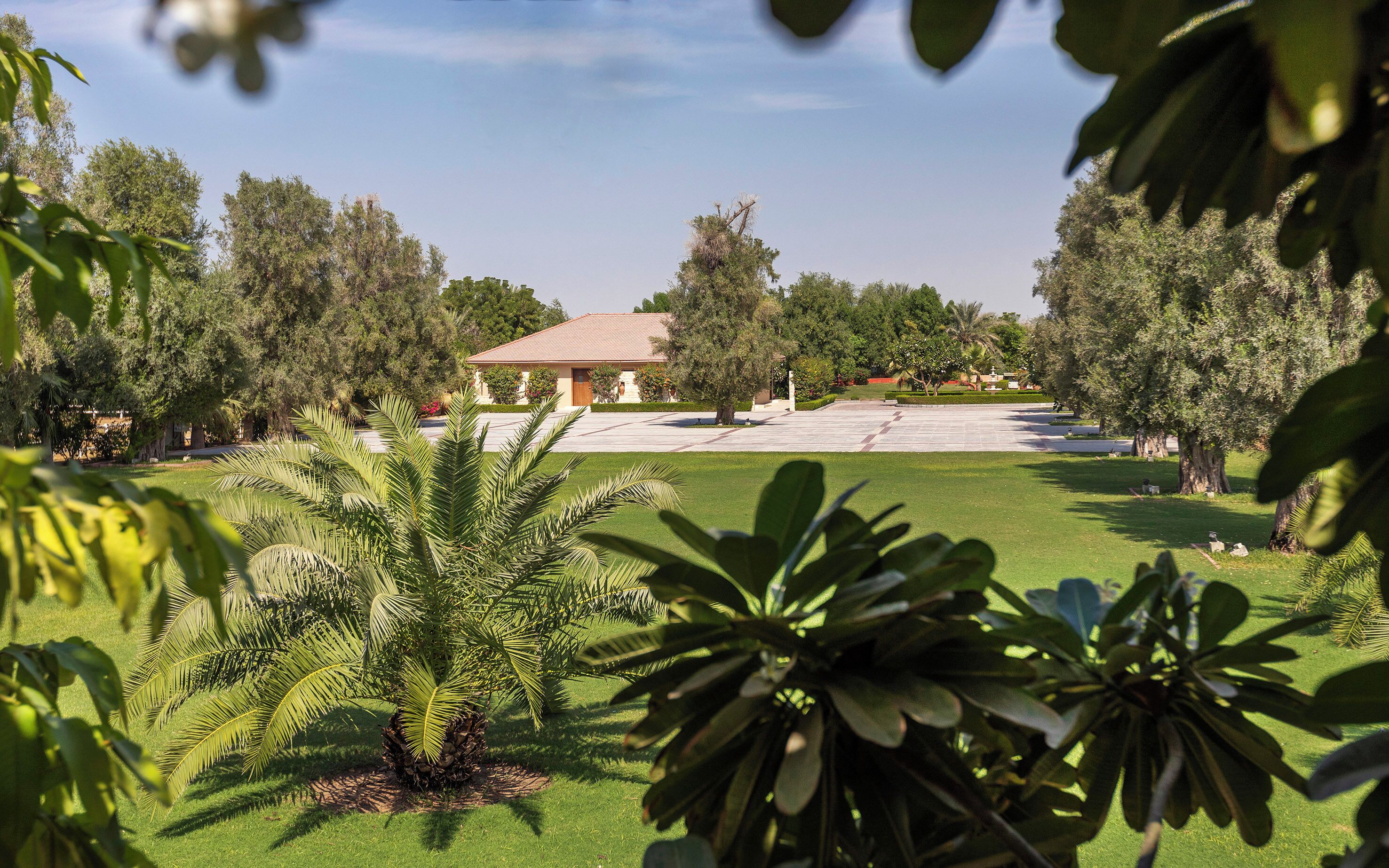 Foto - Meliá Desert Palm Member of Meliá Collection