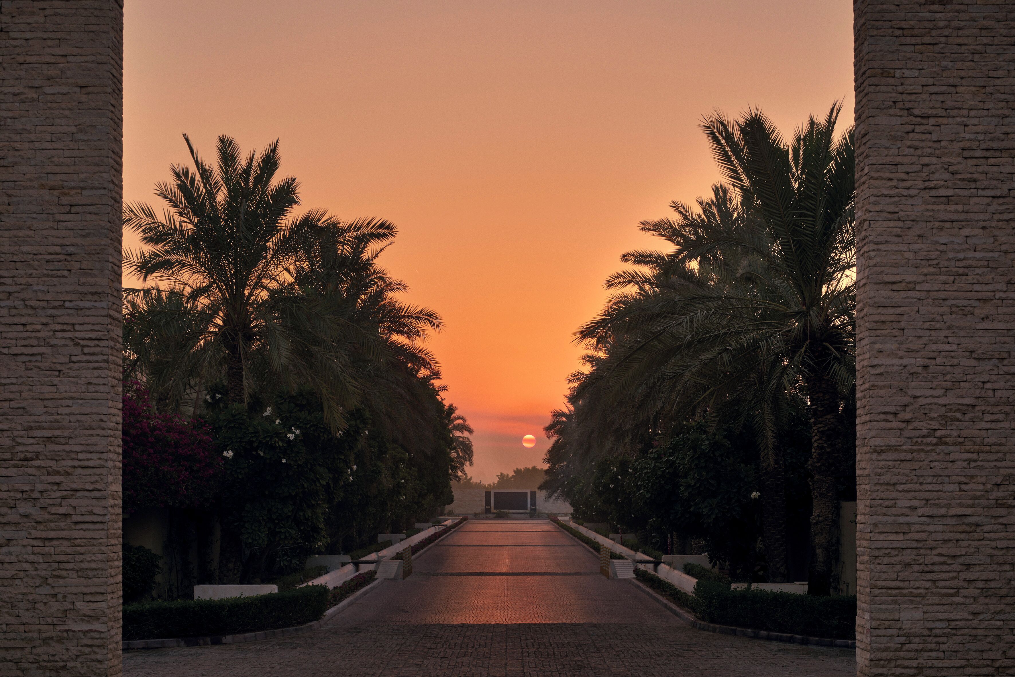 Foto - Meliá Desert Palm Member of Meliá Collection